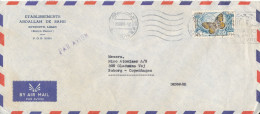 Lebanon Air Mail Cover Sent To Denmark Beyrouth 29-11-1965 Single Franked BUTTERFLY - Lebanon