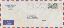 Lebanon Air Mail Cover Sent To Denmark Beyrouth 29-11-1965 Single Franked BUTTERFLY - Liban