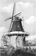 E721 - Oude Pekela Korenmolen De Onrust - Molen - Moulin - Mill - Mühle - Otros & Sin Clasificación