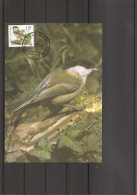 Belgique - Buzin - Oiseaux (  CM De 1997 à Voir) - 1991-2000