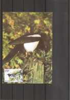 Belgique - Buzin - Oiseaux (  CM De 1997 à Voir) - 1991-2000