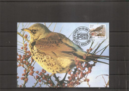 Belgique - Buzin - Oiseaux (  CM De 1998 à Voir) - 1991-2000