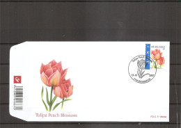 Belgique - Buzin - Fleurs (  FDC De 2007 à Voir) - 2001-2010