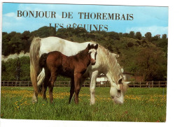 Thorembais Les Béguines Bonjour De ( Chevaux ) - Perwez