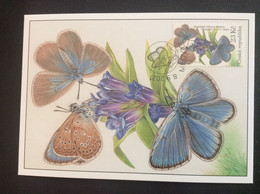 2021 Carte Maximum  Nature Réserve De Milovice  Papillon Alcon Butterfly Phengaris Alcon Rebeli - Other & Unclassified