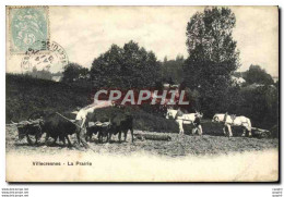 CPA Villecresnes La Prairie Charrue Et Boeufs Paysan TOP - Villecresnes