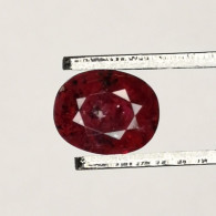 Rubis Chauffé Avec Résidus D'Afrique - Ovale 0.53 Carat - 5.0 X 4.0 X 2.9 Mm - Rubis