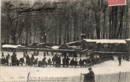 Lyon - Parc De La Tête D'Or Sous La Neige - Patinage Sur Location Et Pose Des Patins - Lyon 6