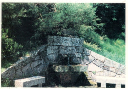 SERRA DA ESTRELA - Fonte Da Jonja - MANTEIGAS - PORTUGAL - Guarda