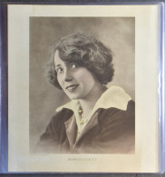 Filmsterren En Revue Sterren W.o. Mistinguett, Mademoiselle Robine, Platinogravure, Etc. (21 Stuks) - Andere & Zonder Classificatie