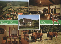 41275952 Warburg Westfalen Waldcafe Pension Rehwinkel Bison Flugaufnahme Warburg - Warburg