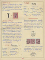 N° 46 10c. Roze, Een Startverzameling Met De Verschillende Stempels, Zoals Relais, Tax, Roulette, Spoor- En Telegraafste - 1884-1891 Leopold II
