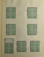 **/*/0 Studieverzameling In Oude Klemband Met Diverse Types, Kleurnuances, Variëteiten + Perron Van Luik, Stempels Op N° - 1915-1920 Alberto I