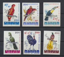 N° 1216/21 ZOO II, Volledige Reeks Ongetand, Zm (OBP €175) - Otros & Sin Clasificación