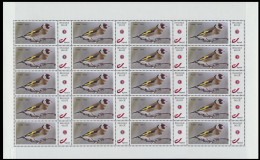 ** N° 4183/83 Mijn Zegel (240x) In Duostamp Met Vogels Van Buzin In Volledige Vellen, Zm (Frankeerwaarde: €350,40) - 1985-.. Oiseaux (Buzin)