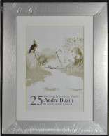 Buzin Box Met Tekeningen En Kader, Zm - 1985-.. Birds (Buzin)
