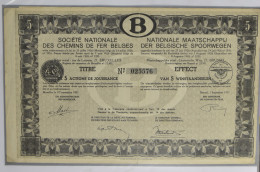 1920/1940 Samenstelling 125 Interne NMBS Documenten Of Vrachtbrieven Met Verschillende Stationsstempels, Waarbij Betere, - Other & Unclassified