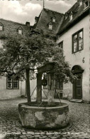 41275190 Montabaur Westerwald Schlosshof Brunnen Montabaur - Montabaur