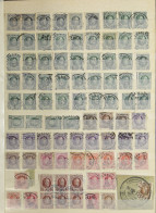 1918/1987 Samenstelling Diverse Uitgiften In Insteekboek, Voor De Stempelzoeker, Zm/m - Collections