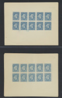 Type 3 25c. Blue - Lenoir FORGERY Minisheet Of 10 Stamps (x20), All Unperforated And Without Gum - 1884-1894