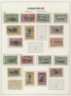 1908/1957 Postage Due Stamps Collection On Davo Pages, Some Regummed Such As TX 6B, TX 15, TX 26, Some Good Stamps Hinge - Other & Unclassified