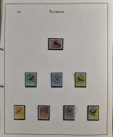 **/0 Fauna- Vogels : Verzameling, Meestal Volledige Reeksen In Ringmap, Zm/m - Other & Unclassified