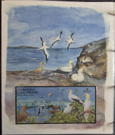 ** Fauna- Vogels : The Int. Birdlife Stamp Collection, 7 Albums Prachtig Geïllustreerd En Hoge Aanschafwaarde. - Autres & Non Classés