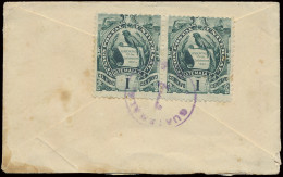 1901 Klein Formaat Brief Gefrankeerd Met N° 105 (Yv.) Horizontaal Paar 1c. Groen, Verstuurd Uit Guatemala In 1901 Naar S - Guatemala
