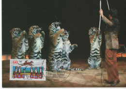 Germany Deutschland 1989 Maximum Card, Für Die Jugend, Zirkus Cirque Circus, Tiger Big Cat, Berlin - 1981-2000