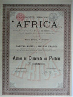 2 X S.A. Africa - Action De Dividende  En Action Au Porteur - 1899 !! - Anvers - Afrika