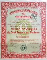 Chaux Et Ciments De Chanaz - Action Privilégiée De 100 Francs - Paris - 1924 - Chemin De Fer & Tramway
