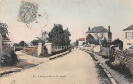 THOIRY (Yvelines) - Route De Maule - Tirage Couleurs - Voyagé 1906 (2 Scans) Andrée, 75 Rue De Sèvres à Boulogne/Seine - Thoiry