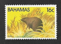 SD)1982 BAHAMAS FAUNA, BAHAMEÑO AGUTÍ, MNH - Bahamas (1973-...)