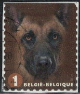 Belgique 2014 Oblitéré Used Canis Lupus Familiaris Chien Malinois Y&T BE 4365 SU - Gebraucht