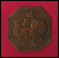 Belgique. Médaille En Bronze,  Famille Royale . Epreuve D'Artiste. C. Van Dionant. 1918. Recto/verso Et Agrandissement. - Royaux / De Noblesse