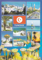 Tunisie-- Souvenir De Tunisie  (drapeau) ---Multivues - Tunisia