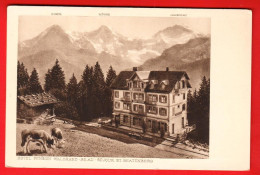 XZJ-14  Beatenberg Hotel Pension Waldrand Beau-Séjour . Verlag Brügger. NG - Beatenberg