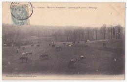 (19) 044, Haras De Pompadour, Meyrignac Et Puydebois 287, Juments Et Poulains Au Paturage  - Arnac Pompadour