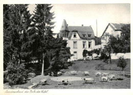 73873536 Manderscheid Eifel Hotel Zu Den Burgen Manderscheid Eifel - Manderscheid