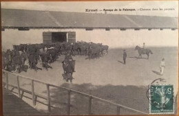 MILITARIA, Cpa De 1909, EYMET Annexe De La Palanque Chevaux Dans Les Parcours - Eymet