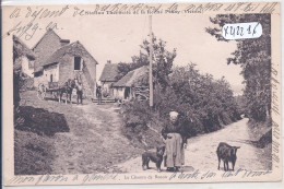 LA ROCHE POSAY- LE CHEMIN DE RENOIR- FERME- ANIMAUX- CHEVRE- CHIEN- CHEVAL - La Roche Posay