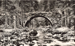 FRANCE -  Gérardmer -  Le Pont Des Fées - Carte Postale Ancienne - Gerardmer