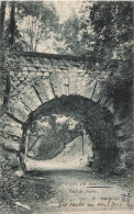 FRANCE - Parc De Saint Saint Cloud - Pont Du Diable  - Carte Postale Ancienne - Saint Cloud