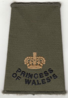 Manchons D'Epaulettes Du Princes Of Wales's Royal Regiment - Grande Bretagne - Uniformen