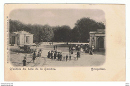 BRUXELLES:  L' ENTREE  DU  BOIS  DE  LA  CAMBRE  -  PHOTO  -  FP - Forêts, Parcs, Jardins