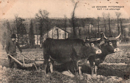 Le Vercors Pittoresque - Le Labourage: Attelage De Deux Boeufs Avec Une Charrue - Carte M.T.I.L. N° 537 De 1910 - Cultures