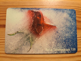 Phonecard Sweden - Flower, Rose - Suède