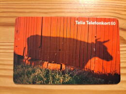 Phonecard Sweden - Cow - Suède