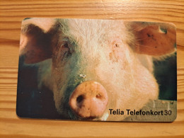 Phonecard Sweden - Pig - Suecia
