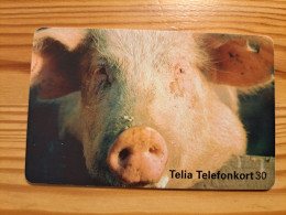 Phonecard Sweden - Pig - Schweden